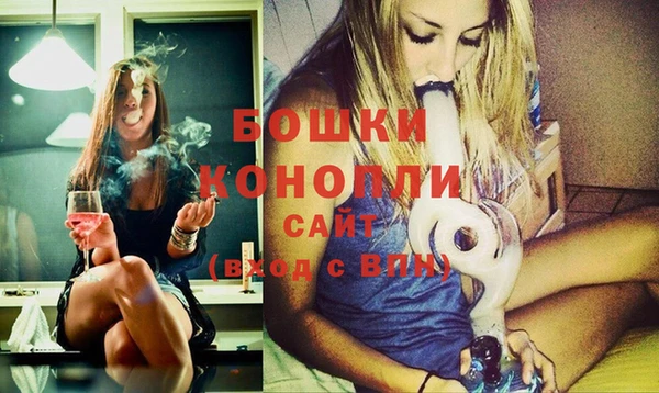 ПСИЛОЦИБИНОВЫЕ ГРИБЫ Белокуриха